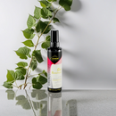 Shot Reconstrução - Cronograma