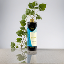 Shampoo Hidratação